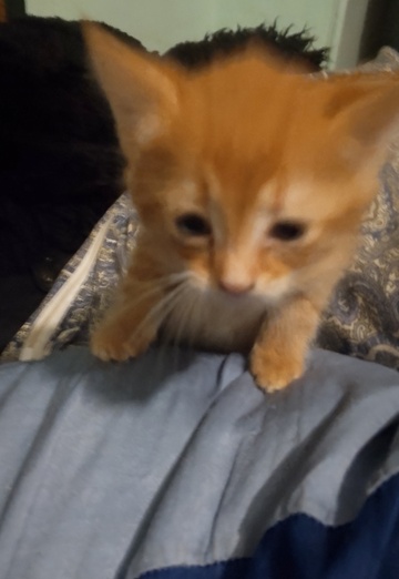 Yulya (@ulya74086) — my photo № 1