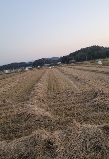 경언 (@jp3uoeh3lk) — my photo № 3