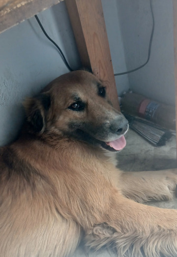 Hernan (@hernan113) — my photo № 4