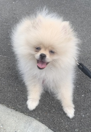 Souf (@souf13) — my photo № 2