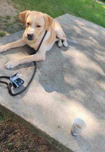 George (@george5161) — my photo № 4