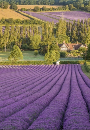 Best name ever (@bestnameever28219) — my photo № 4