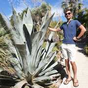 vincecream 40 Geneva