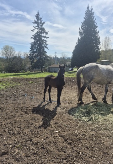 Antonio (@antonio6213) — my photo № 1