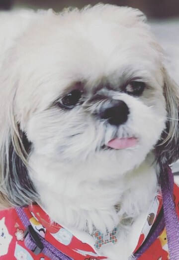 James wong (@jameswong6) — my photo № 2