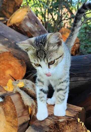 Hamid Hakimov (@hamidhakimov0) — my photo № 1