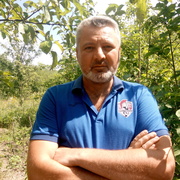 Арчи 51 Київ