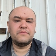 Abbas 40 Химки