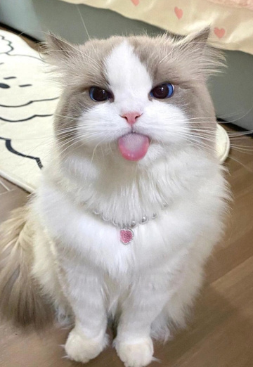 Arda (@arda2222) — my photo № 1