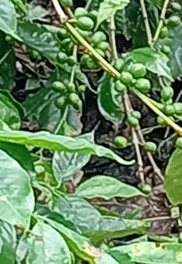 Aparicio (@aparicio1) — my photo № 1