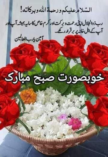 Amir (@amir20346) — my photo № 1