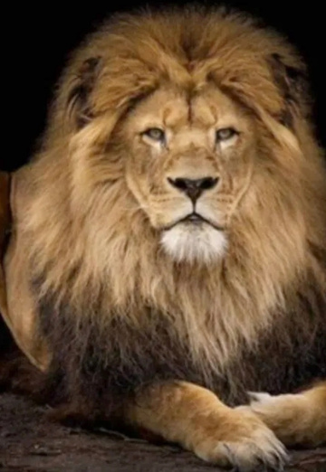 Rabboni (@rabboni27) — my photo № 1