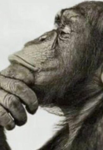 Rprro (@rprro1) — my photo № 1