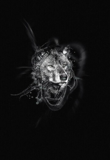 sam (@sam7115) — my photo № 1