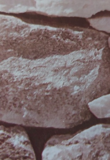 Nela (@nela81) — my photo № 1