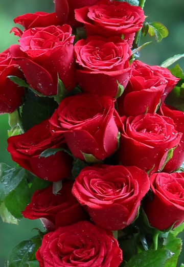 Akmal khan (@akmalkhan3) — my photo № 3